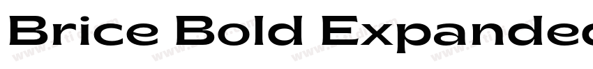 Brice Bold Expanded字体转换